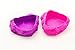 Ponds for Hermit Crabs | Plastic Neon Ponds 2 Pack 3