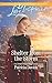 Shelter from the Storm: A Fresh-Start Family Romance (North Country Amish) by Patricia Davids