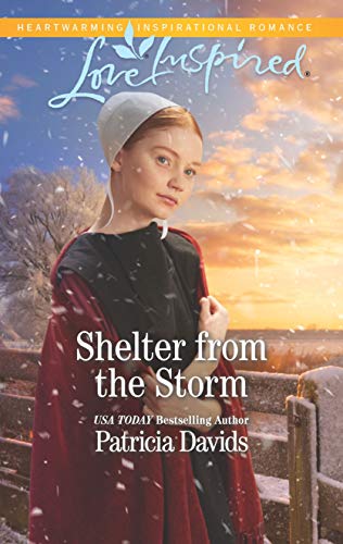 Shelter from the Storm: A Fresh-Start Family Romance (North Country Amish) by Patricia Davids