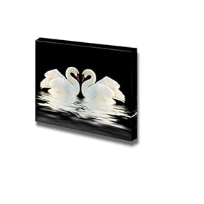Canvas Prints Wall Art - Two Swans on The Black Surface for Home or Office Art | Modern Wall Decor/Home Decoration Stretched Gallery Canvas Wrap Giclee Print. Ready to Hang - 12" x 18"