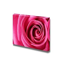Canvas Prints Wall Art - Closeup of Pink Flower/Petal | Modern Wall Decor/Home Art Stretched Gallery Wraps Giclee Print & Wood Framed. Ready to Hang - 12" x 18"
