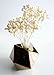 40 Mini Night Jasmine Sola Flower Reed Diffuser for Home Fragrance Aroma Oil by Plawanature