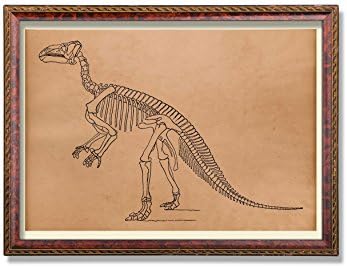 Dinosaur art print Skeleton decor Anatomy decoration
