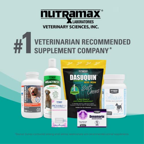 Nutramax Dasuquin Joint Health Supplement for Large Dogs With