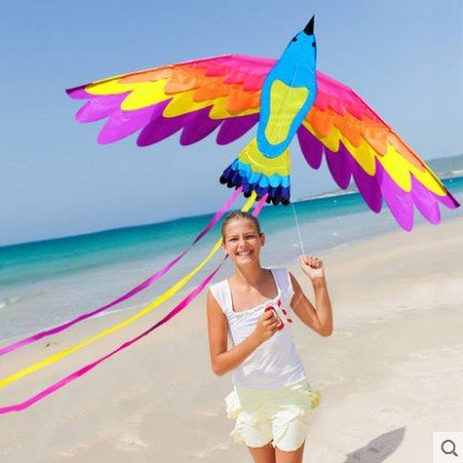 Amazoncom Labu Store Outdoor Fun Sports Kites For Kids And