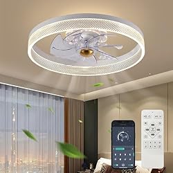 Fszdorj 20‘’ Ceiling Fan with Light, 2024