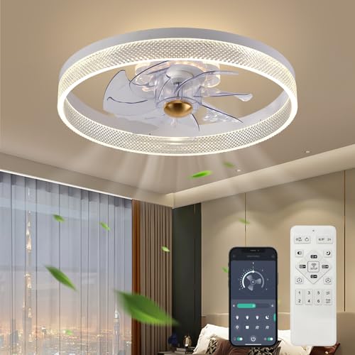 Fszdorj 20‘’ Ceiling Fan with Light, 2024