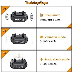 Dog Training Collar with Remote - Advanced