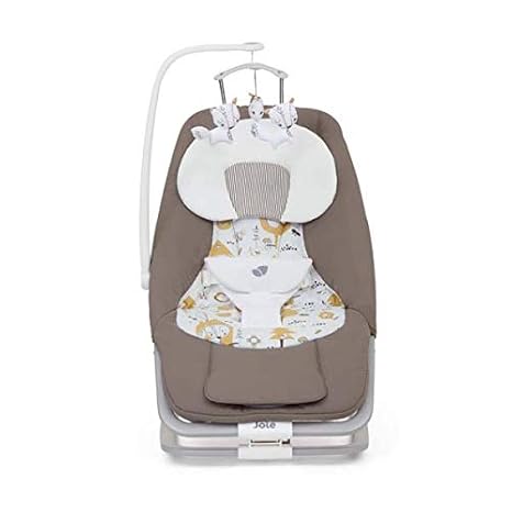 joie dreamer rocker in the rain