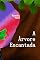 Livro A Árvore Encantada