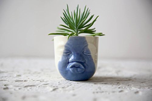 Small blue and white porcelain succulent and cacti planter for indoor plants with a cute kissing face by SinD studio