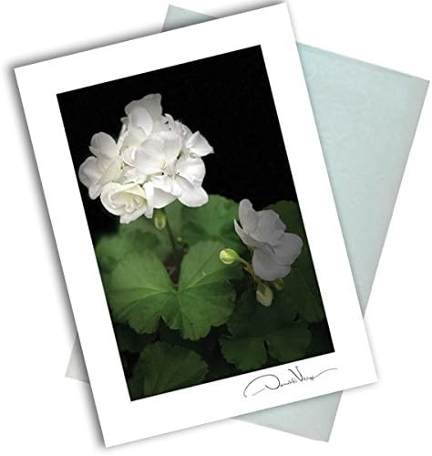 Single White Flower Note Card. 3x5 Blank Card with Classy Envelope. Best Birthday Cards, Thank You Notes, Invitations. Unique Christmas, Mother's Day &amp; Valentines Gifts for Women, Men, Kids