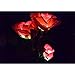Rose Flower Solar Lights , Elstey Solar Powered Outdoor Waterproof Garden Lawn Balcony LED Lamps Landscape Decorative Illumination