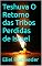Livro Teshuva O Retorno das Tribos Perdidas de Israel (INSTRUÇÃO PARA O APOCALIPSE QUE SE APROXIMA Livro 119)