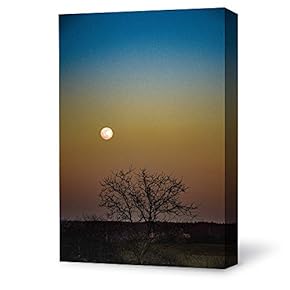 Canvas Wall Art Bright Moon Shining Forests Painting Artwork for Home Prints Framed - 12x18 inches