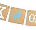 Qttier Buck Or Doe Banner Garland for Baby Shower Decorations Gender Reveal Pregnancy Announcement Party Supplies