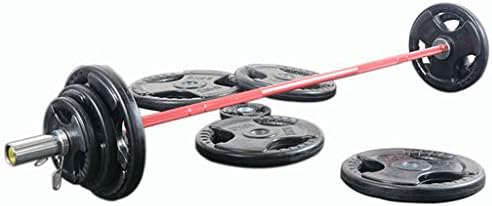 small barbell plates