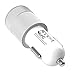 +LIFEGUARD Dual USB Car Charger 2.1A with +IQ Technology (Silver)