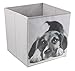 Clever Creations 4 Pack Cute Dogs Collapsible Storage Organizer Cube Folding Storage Organizer for Animal Themed Rooms | Perfect Size Storage Cube for Books, Shoes, Games