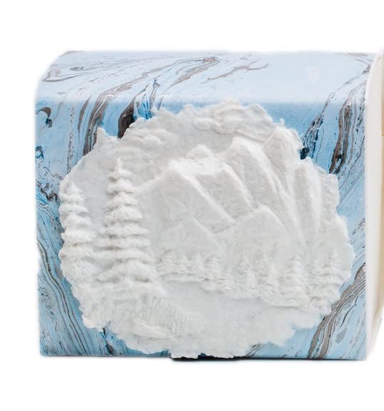 The Favorite Place® Burial Biodegradable Urn Box for Human Ashes by EARTH MEMORIALS Water Burial Urn (Mountains on Blue/Metallic Silver Paper, Small, 80 Cubic Inches 5”L x 4”W x 4”H)