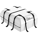 Asinking Car Rooftop Cargo Carrier