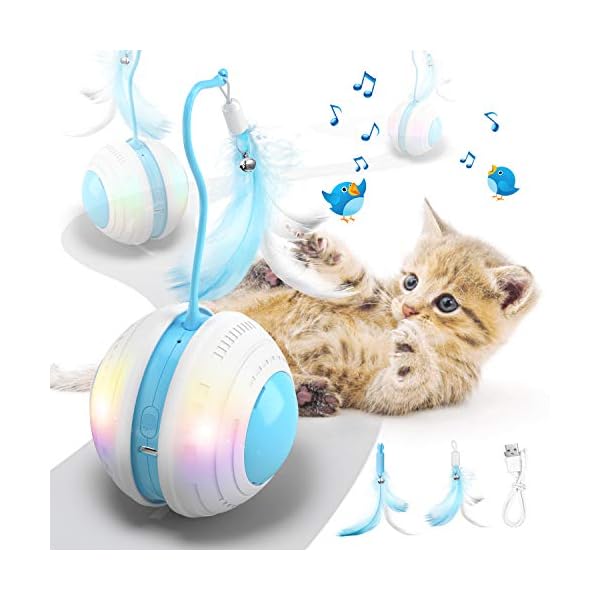 interactive cat ball