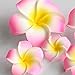 DreamLily Women's Fashion 3 Pcs Hawaiian White Plumeria Flower Foam Hair Clip Balaclavas for Beach (Candy Pink)