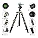 Neewer 2-in-1 Carbon Fiber Camera Tripod Monopod 67 inches/170 Centimeters Army Green with 360 Degree Ball Head,1/4 inch QR Plate and Bag for DSLR Cameras Video Camcorders,Load up to 33lbs/15Kg