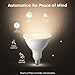 Philips Hue White Outdoor PAR38 13W Smart Bulbs Hub Required, 1 White PAR38 LED Smart Bulb, Works with Alexa, Apple HomeKit and Google