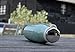AKS Vacuum Insulated Stainless Steel Water Bottle Leak Proof Sweat Proof Tumbler (Green 17oz)