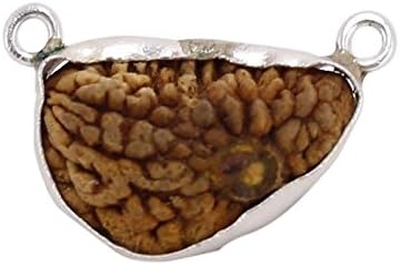 Sri Aum 1 Mukhi Rudraksha (Silver)/ One Face Rudraksh 100% Original