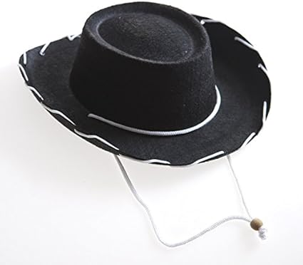 black felt cowboy hat with red trim
