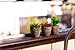 Set of 6 Artificial Succulent Plants – Fake Plants with Grey Ceramic Planters for Decoration