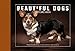 Beautiful Dogs Postcard Book