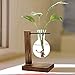 ZAILHWK Plant Terrariums Glass, Plant Containers Flower Vase,Hanging Flower Pots Glass with Retro Solid Wooden Stand and Metal Swivel Holder for Hydroponics Plants Home Gardenthumb 1
