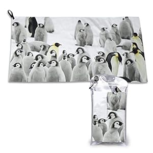RGFDF Microfiber Beach Towel, Snow Penguin Pattern, Super Soft, Absorbent Compact Quick Dry Towel for Swimming, Camping, Hiking(28.7″x 51″)