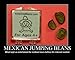 Sack of 50+ Live Mexican Jumping Beans. Includes Educational Game Sheets.