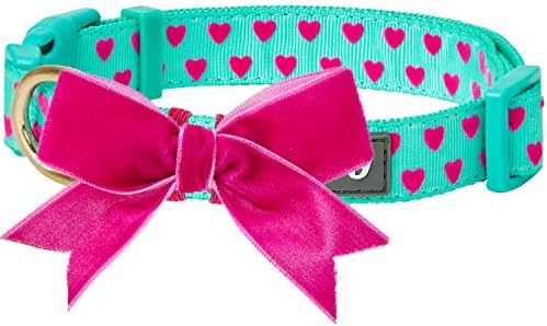 blueberry dog collar amazon