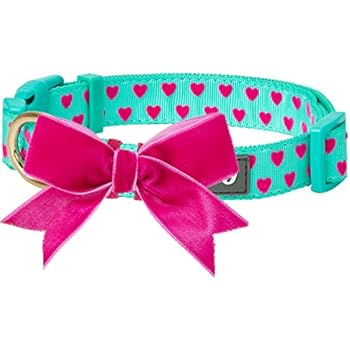 Blueberry Pet 2019 New 4 Patterns Adjustable Flocking Dog Collar with Detachable Velvety Bowtie - Heart Print in Minty Green, Small, Neck 12