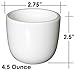 Restaurant Cameo Ceramic Teacups with Scraper, White Ivory (6 Pack, 4.5 Ounce)