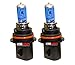 ICBEAMER 9007 HB5 12V 100W Direct Replace Auto Vehicle Car Factory Halogen Light Bulbs [Color: Super White] w/Mbox