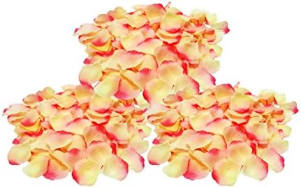 600ct Yellow Pink Valentine Rose Petals!