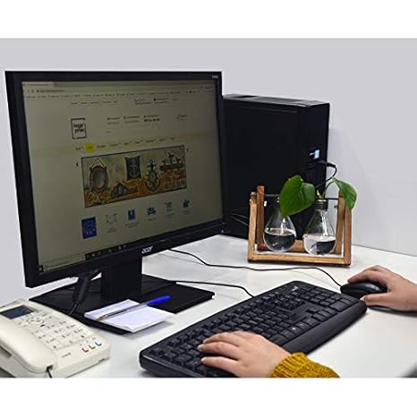 Macetero Interior Decorativo de Cristal, con Soporte de Madera ...