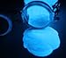Glow in The Dark Powder Blue Pigment 10 Grams