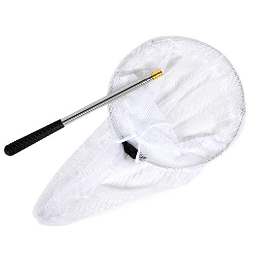 Latocos Insect and Butterfly Net with 12" Ring, Handle Extends to 59 Inches
