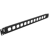 QiaoYoubang 1U Hinged D-Series 12 Connectors Punch-Out Component Panel | for 19 inches Sound, AV, Computer -Equipment Racks- Patch Panel Compatible with XLR, HDMI (1U12D)