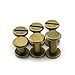 RuiLing 60 Sets 5mm Bronze Chicago Screws Assorted Kit Screw Posts Metal Accessories Nail Rivet Chicago Button for DIY Leather Decoration Bookbinding Slotted Flat Head Stud Screw (1/4