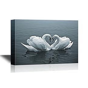 Romantic Swans Forming a Heart Shape with Their Necks