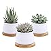 6pcs Bamboo Round Plant Saucer Flower Pot Tray for Cactus Plant Pot Flower Pot Container Planter Bonsai Pots,no Plants Potthumb 4
