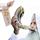 Handcrafted Kosher Ram Shofar from Israel